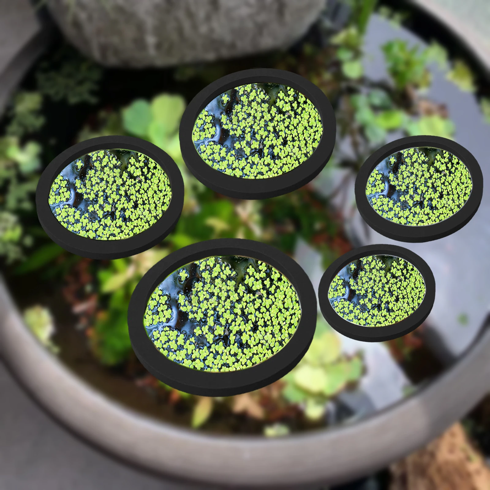 Aquarium Fish House - 5 pz EVA Anello di Alimentazione