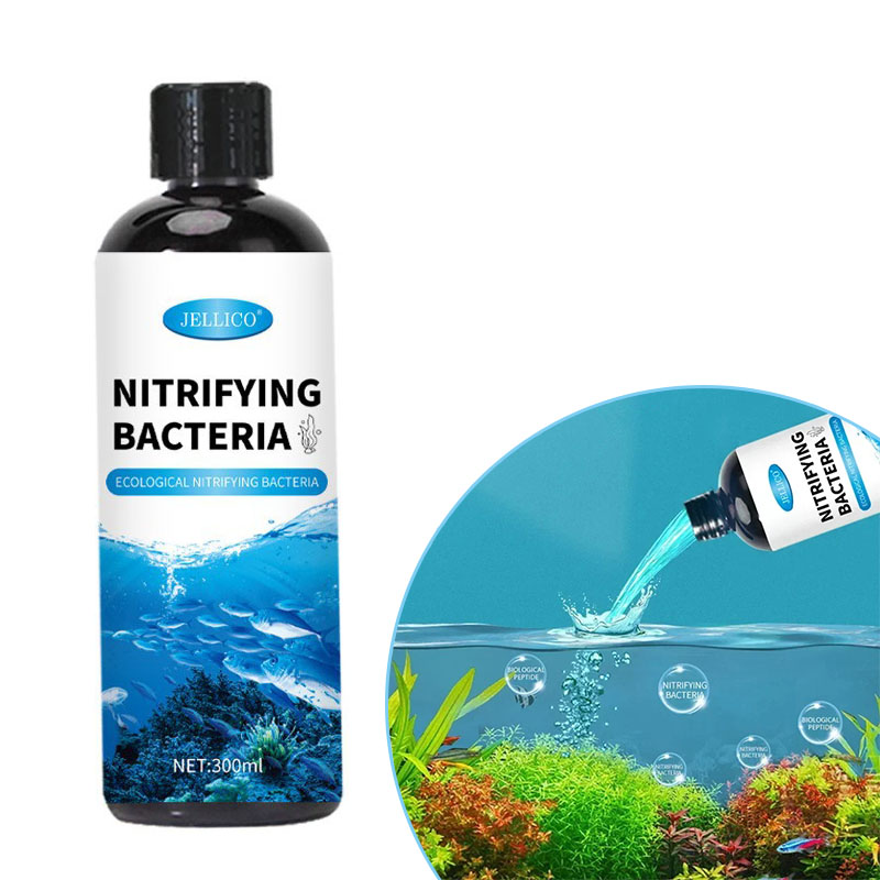 Aquarium Fish Items - Batteri nitrificanti Depuratore d'acqua liquido per