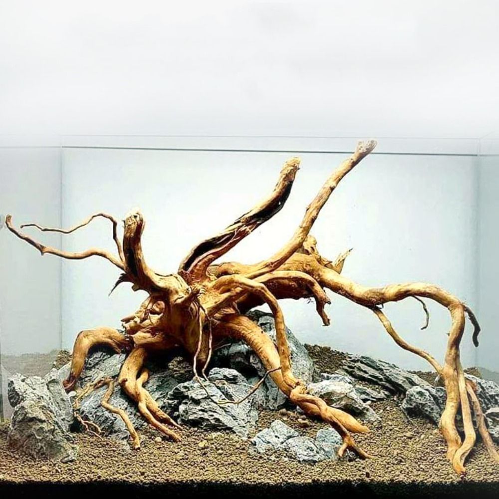 Aquarium Fish Big - Legno Naturale per Acquario 20-25CM, Decorazione