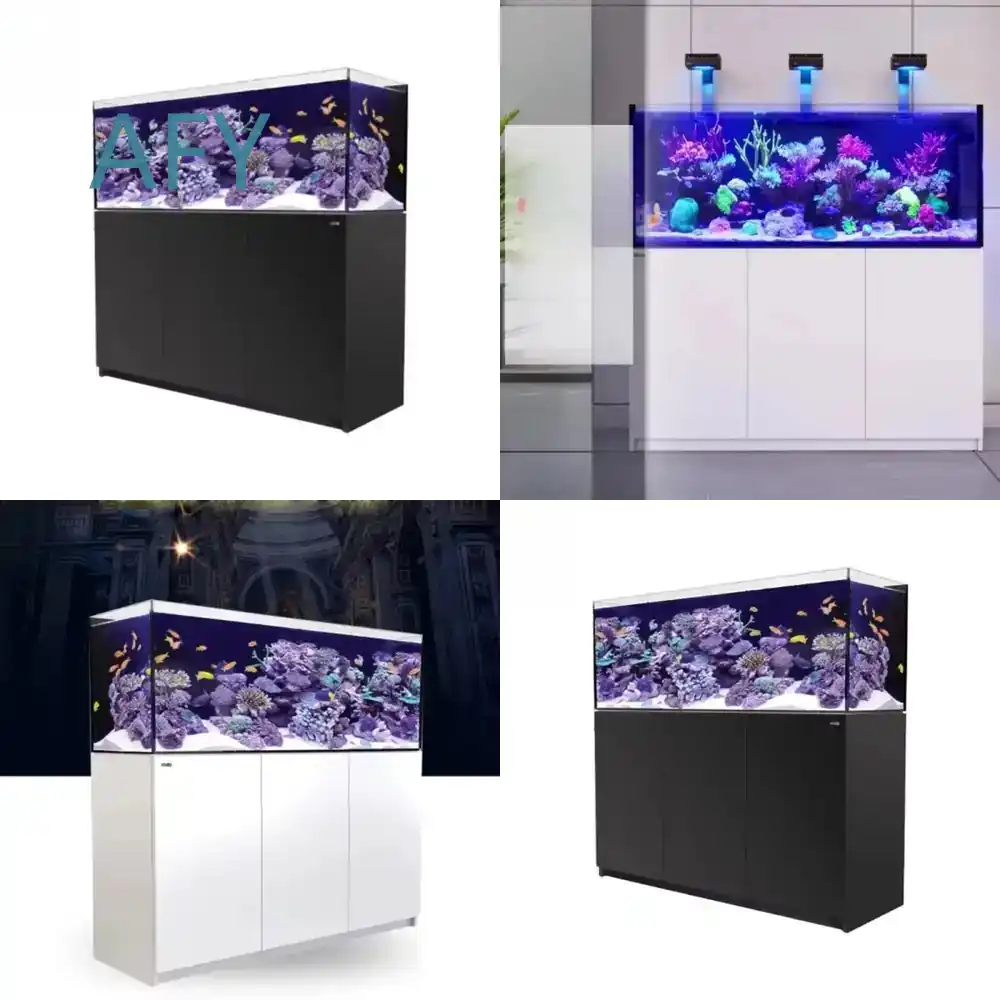 Aquarium Fish Restaurant - Acquario Refrigerato in Vetro di Lusso