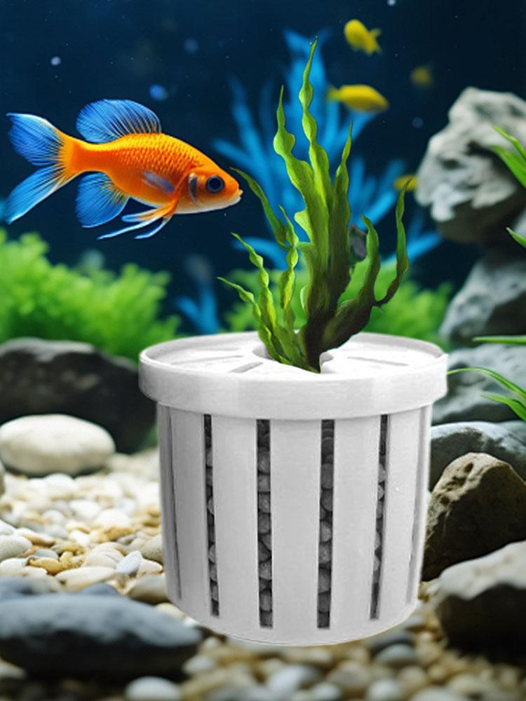 Cestello Portapiante Stabile p - Aquarium Fish Restaurant recensione e prezzo