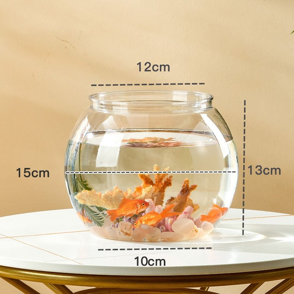 Acquario da tavolo rotondo tra - Live Fish Aquarium recensione e prezzo