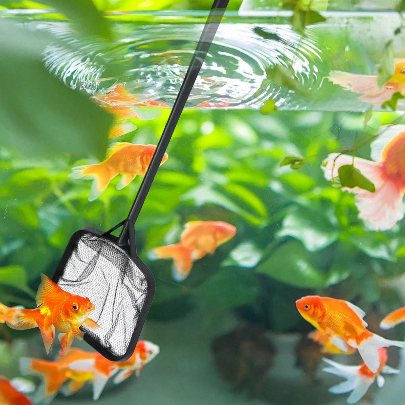 Reti per la Pulizia della Pisc - Aquarium Fish Items recensione e prezzo