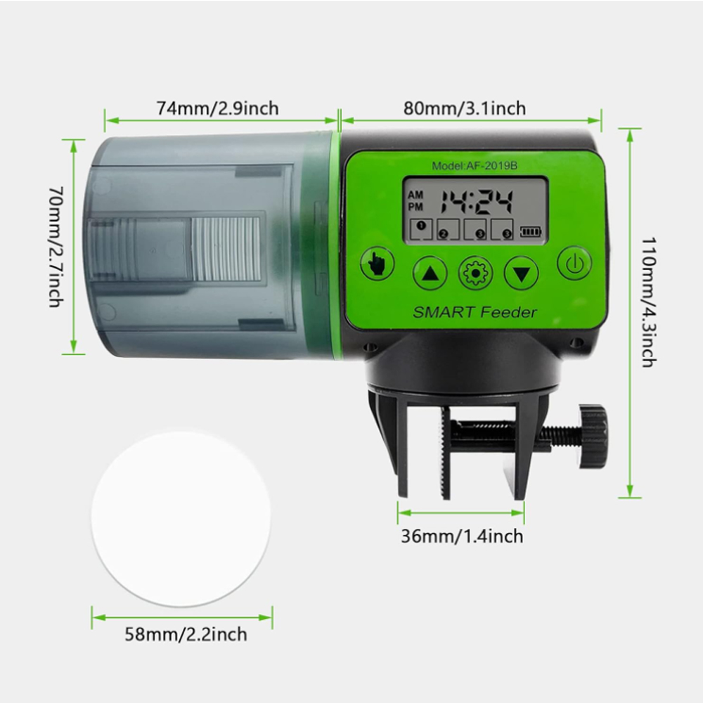 Alimentatore automatico per ac - Aquarium Fish Big recensione e prezzo