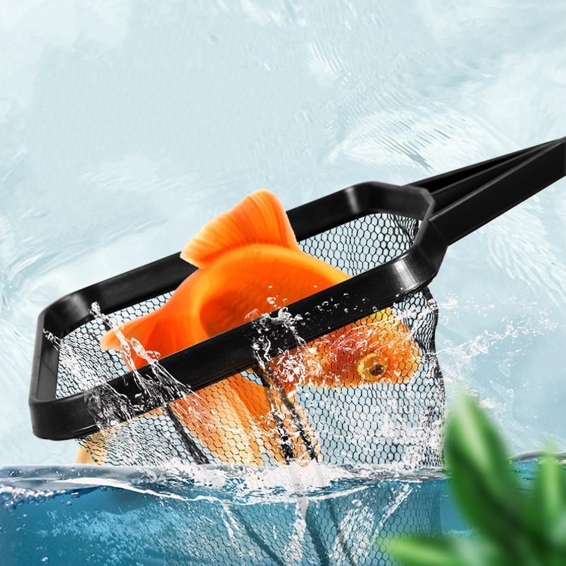 Rete da Pesca Telescopica in P - Aquarium Fish Big recensione e prezzo