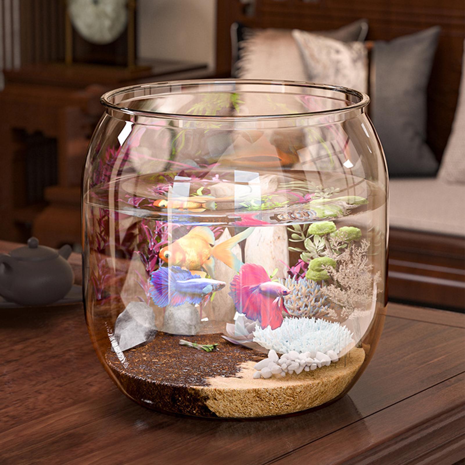 Mini acquario decorativo trasp - Aquarium Fish Restaurant recensione e prezzo