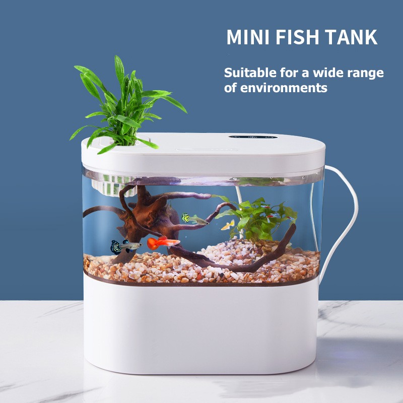 Mini Acquario da Tavolo con Si - Live Fish Aquarium recensione e prezzo
