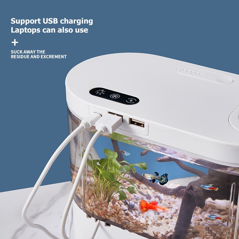 Mini Acquario da Tavolo con Si - Live Fish Aquarium recensione e prezzo
