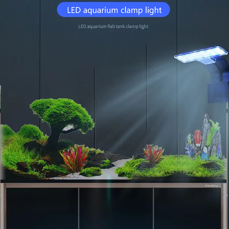【Novità】Nuova Lampada LED Impe - Aquarium Fish Light Lamp recensione e prezzo