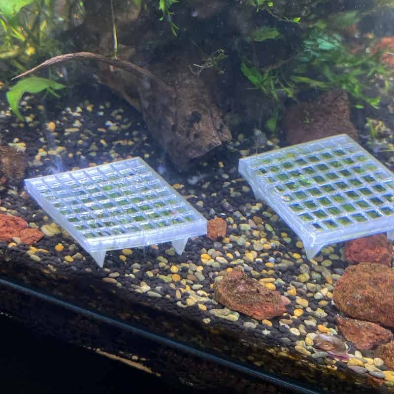 Supporto a rete per muschio da - Aquarium Fish Elevator recensione e prezzo