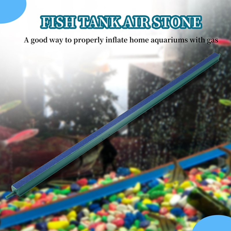 Pietra porosa per acquario da  - Aquarium Fish Long recensione e prezzo