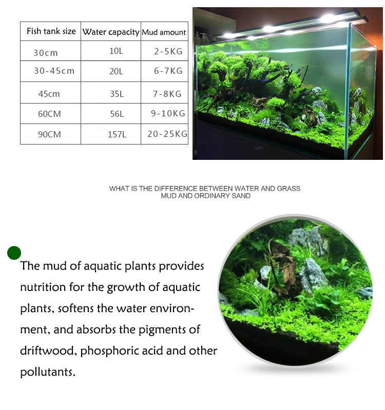 Acquario semi di piante terren - Aquarium Fish Items recensione e prezzo