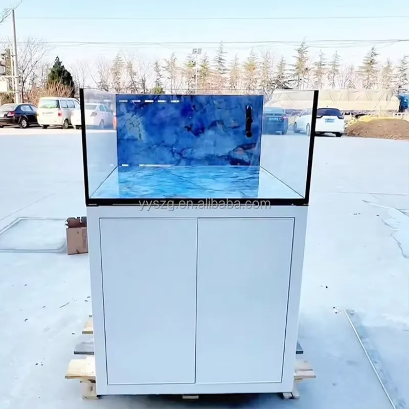 Acquario in Vetro Rettangolare - Aquarium Fish Restaurant recensione e prezzo