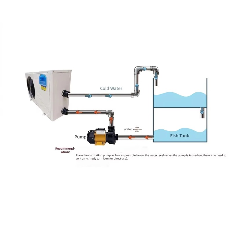 Refrigeratore per Acquario, Ra - Aquarium Fish Restaurant recensione e prezzo