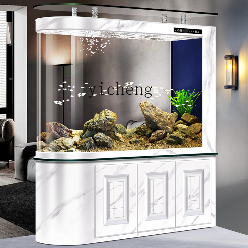 Acquario XL con divisorio per  - Aquarium Xl recensione e prezzo