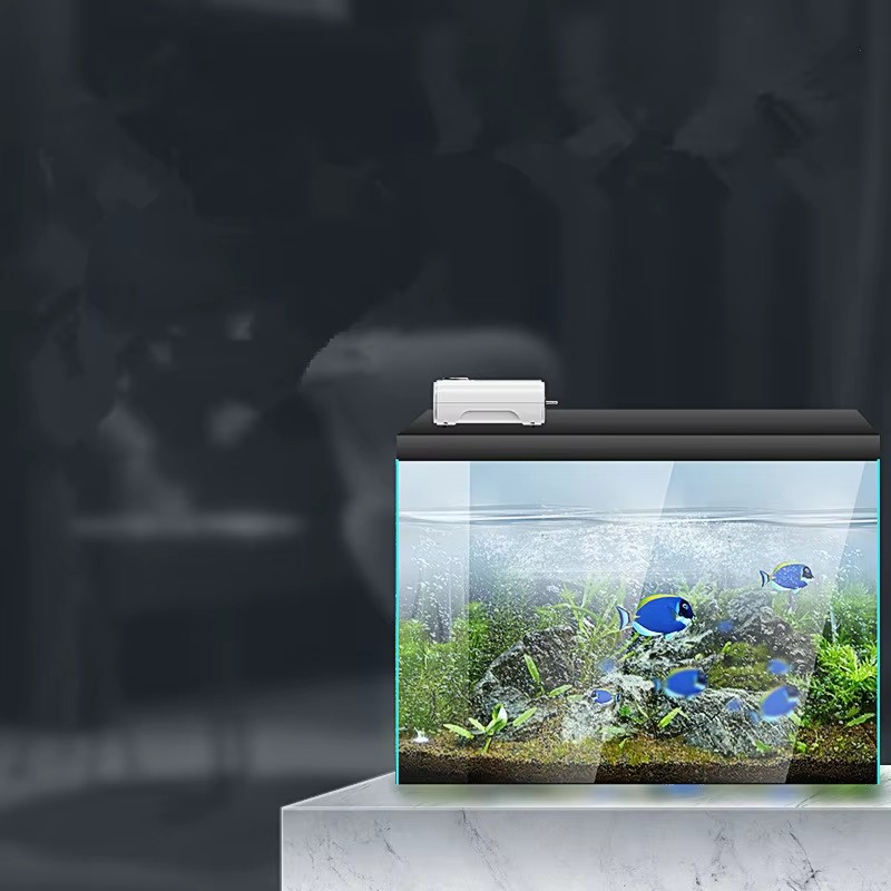 220V/110V 3W/8W/12W Ultra Sile - Aquarium Xl recensione e prezzo