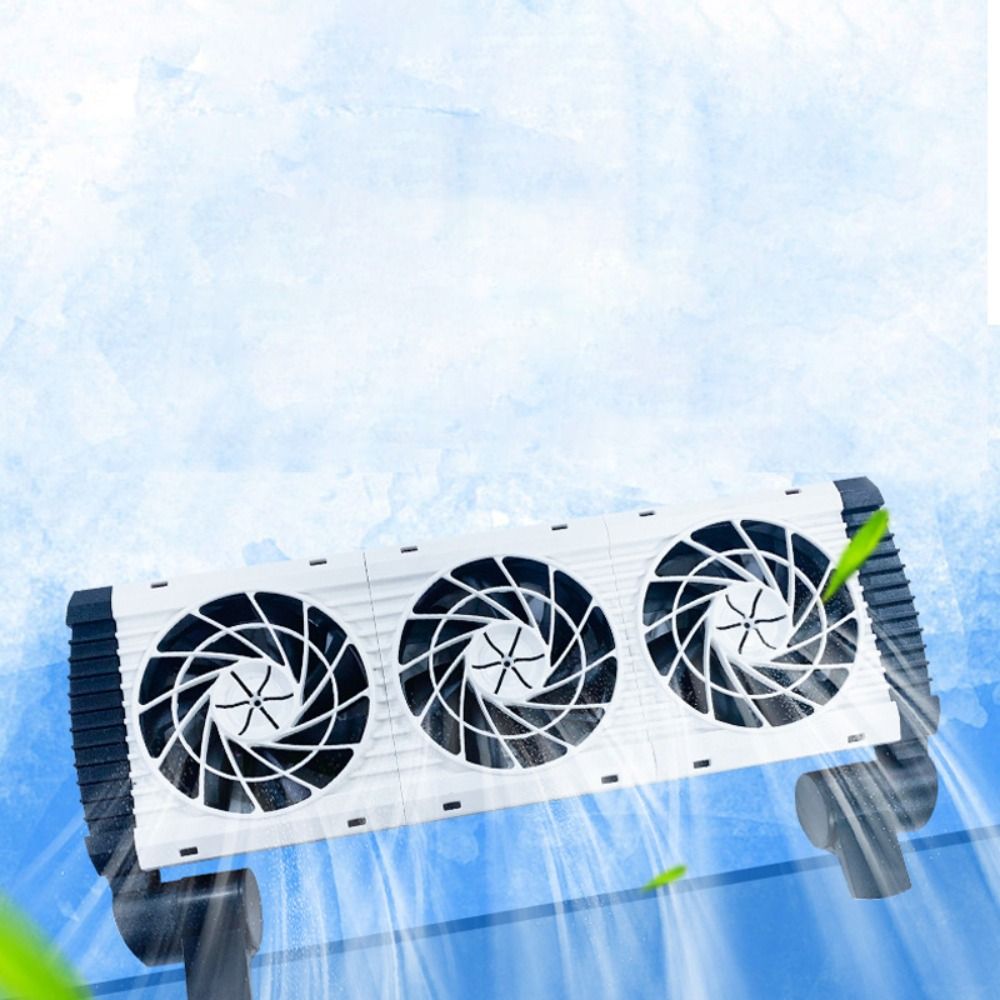 1/2/3/4/5 Teste Ventola di Raf - Aquarium Fish Uk recensione e prezzo